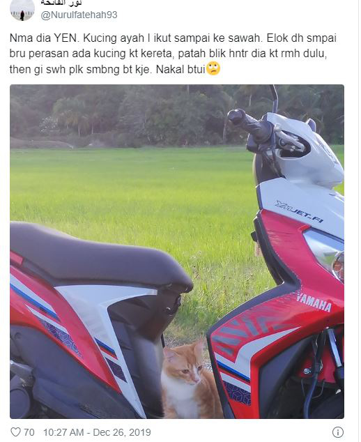 Bị nhốt trong ô tô nhà hàng xóm, chú mèo nhanh trí bật luôn đèn cảnh báo nguy hiểm để gọi sen cứu giúp - Ảnh 4. Bị nhốt trong ô tô nhà hàng xóm, chú mèo nhanh trí bật luôn đèn cảnh báo nguy hiểm để gọi sen cứu giúp - Ảnh 4.