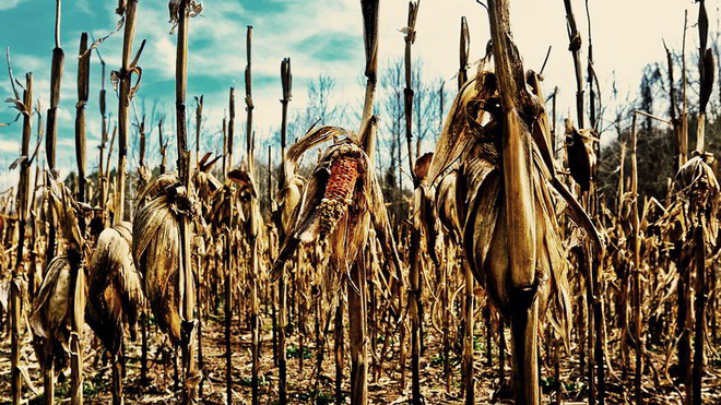 Lợi &iacute;ch đầy đau l&ograve;ng của biến đổi kh&iacute; hậu: Chiến tranh sẽ kết th&uacute;c, nhưng bởi đất mẹ c&oacute; c&ograve;n g&igrave; để tranh gi&agrave;nh nữa đ&acirc;u?  - Ảnh 1.