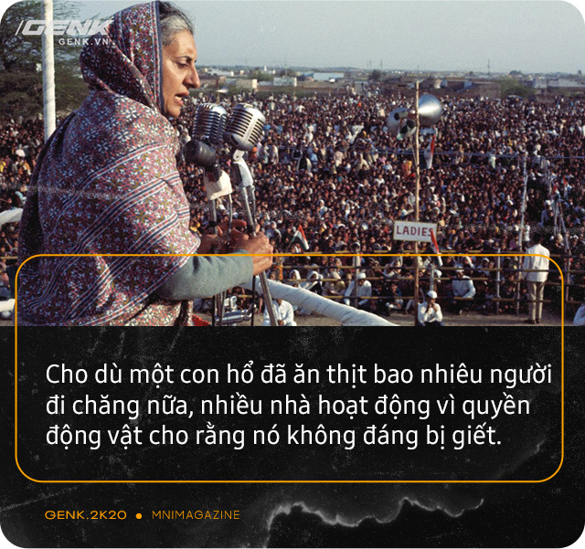 Những con hổ ăn thịt người ở Ấn Độ: Cái giá của sự bảo tồn? - Ảnh 17. Những con hổ ăn thịt người ở Ấn Độ: Cái giá của sự bảo tồn? - Ảnh 17.