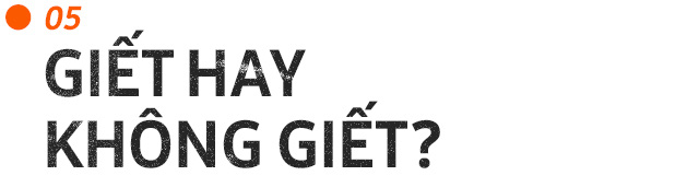 Những con hổ ăn thịt người ở Ấn Độ: Cái giá của sự bảo tồn? - Ảnh 14. Những con hổ ăn thịt người ở Ấn Độ: Cái giá của sự bảo tồn? - Ảnh 14.
