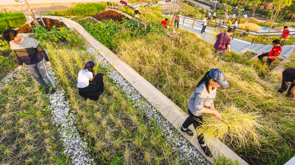Người Thái làm bậc thang n-trong-1 đặt trên nóc trường Đại học để cứu thủ đô khỏi cảnh lũ lụt - Ảnh 3. Người Thái làm bậc thang n-trong-1 đặt trên nóc trường Đại học để cứu thủ đô khỏi cảnh lũ lụt - Ảnh 3.