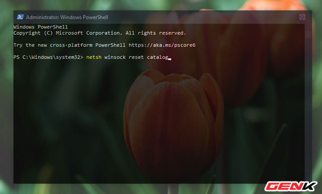 Khắc phục lỗi hiển thị thông báo “No Internet, Secured” gây khó chịu trên Windows 10 - Ảnh 5. Khắc phục lỗi hiển thị thông báo “No Internet, Secured” gây khó chịu trên Windows 10 - Ảnh 5.