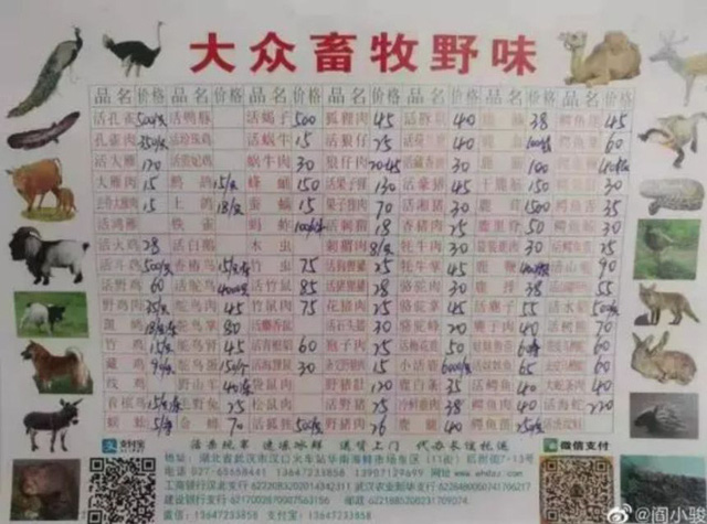 &Ocirc;ng tr&ugrave;m chưa học hết tiểu học v&agrave; gia tộc b&iacute; ẩn đứng sau chợ hải sản Vũ H&aacute;n bị ph&aacute;t hiện virus nCov - Ảnh 2.