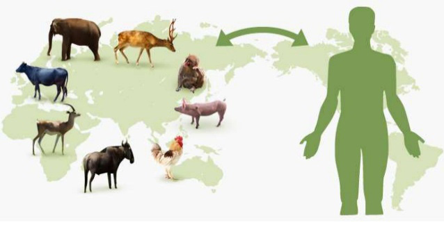 Những sự thật &iacute;t người biết về virus: Ch&uacute;ng đến từ đ&acirc;u, l&acirc;y lan v&agrave; g&acirc;y bệnh như thế n&agrave;o? - Ảnh 5.