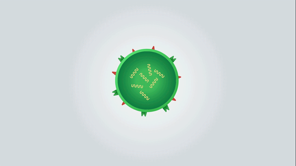 Những sự thật &iacute;t người biết về virus: Ch&uacute;ng đến từ đ&acirc;u, l&acirc;y lan v&agrave; g&acirc;y bệnh như thế n&agrave;o? - Ảnh 2.