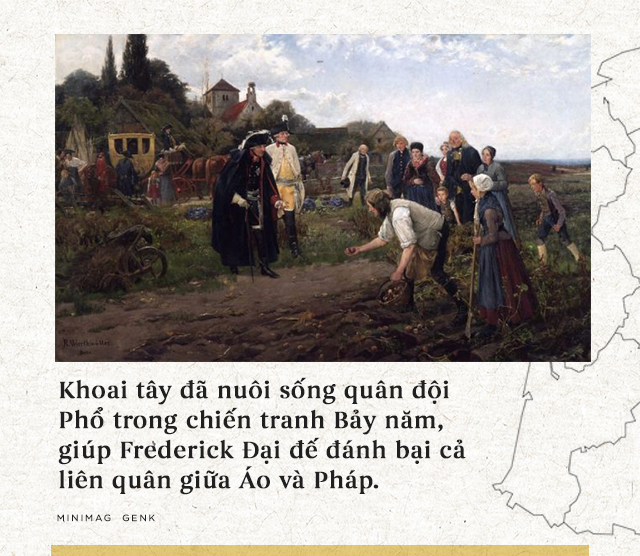 Lịch sử th&uacute; vị của khoai t&acirc;y: &ldquo;Quả t&aacute;o quỷ&rdquo; đem thịnh vượng đến cho những đế quốc - Ảnh 10.