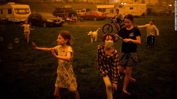 Gần NỬA TỈ sinh vật bị thi&ecirc;u rụi, 1/3 số gấu koala chết ch&aacute;y: &Uacute;c đang trải qua trận ch&aacute;y rừng đại thảm họa thực sự m&agrave; chưa nh&igrave;n thấy lối tho&aacute;t - Ảnh 11.