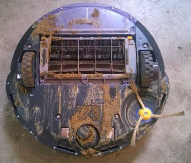 Chớ dại d&ugrave;ng robot h&uacute;t bụi nếu nh&agrave; nu&ocirc;i ch&oacute; m&egrave;o, nếu kh&ocirc;ng sẽ l&atilde;nh hậu quả kinh dị - Ảnh 3.