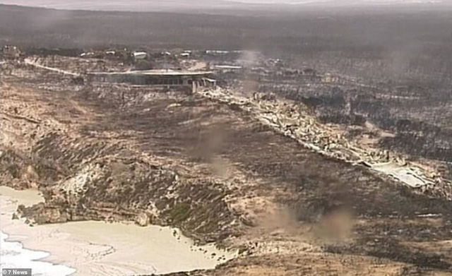 X&aacute;c kangaroo, gấu koala v&agrave; cừu ch&aacute;y đen, nằm la liệt b&ecirc;n đường ở &Uacute;c cho thấy thảm hoạ ch&aacute;y rừng đang kinh khủng đến mức n&agrave;o - Ảnh 5.