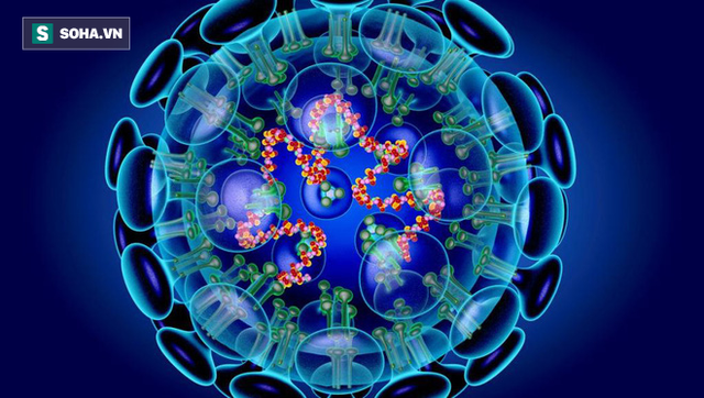 Cập nhật tình hình dịch viêm phổi Vũ Hán ngày 1/2/2020 toàn cầu: 259 người tử vong - Ảnh 2. Cập nhật tình hình dịch viêm phổi Vũ Hán ngày 1/2/2020 toàn cầu: 259 người tử vong - Ảnh 2.