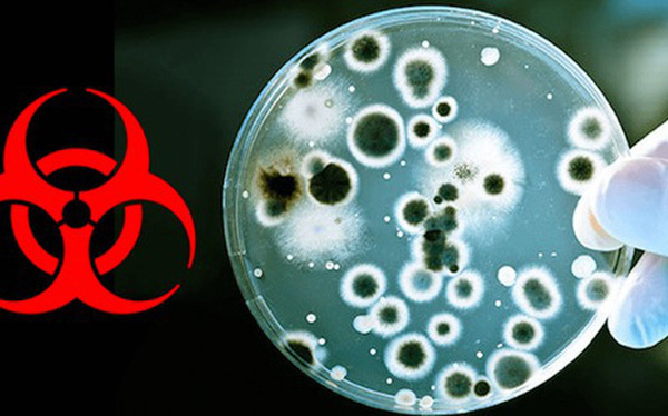 Nhà khoa học Vũ Hán: TQ không chế tạo và thêm HIV vào virus corona, đây là sự trừng phạt của thiên nhiên - Ảnh 1. Nhà khoa học Vũ Hán: TQ không chế tạo và thêm HIV vào virus corona, đây là sự trừng phạt của thiên nhiên - Ảnh 1.