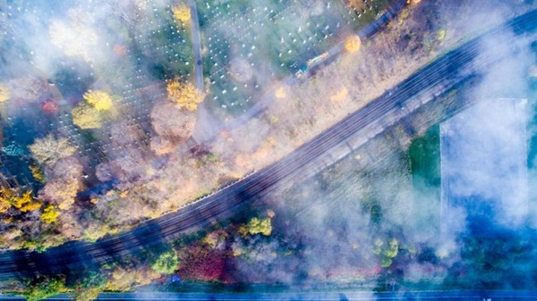 Sương mù bao phủ Hamilton, Ontario, Mỹ. Ảnh: Chirs Ross.