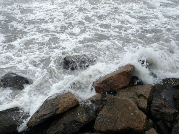 Ảnh chụp bởi Moto X Pure Edition trông cực kỳ tự nhiên.