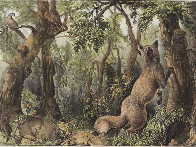 Tác phẩm mang tên The Puzzled Fox, sản phẩm đã khiến con người đau đầu từ hơn 140 năm trước.