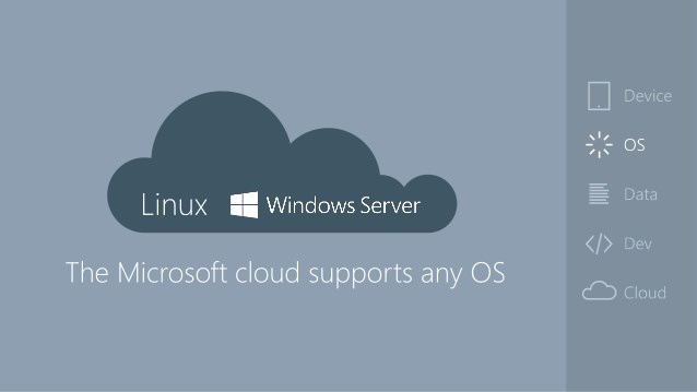 Azure của Microsoft lại hỗ trợ được nhiều nền tảng khác nhau