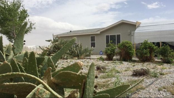 Ngôi nhà bình dị của ông Wayne.