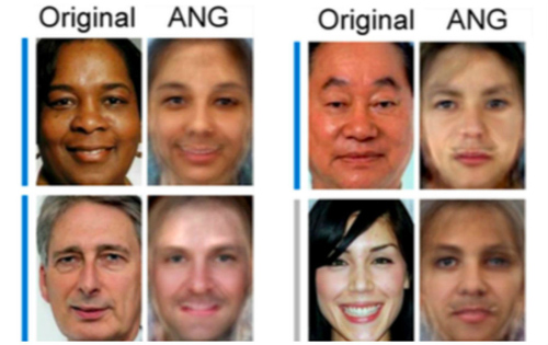 Ảnh: The Journal of Neuroscience