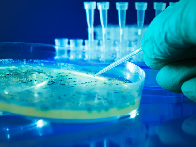 Các nhà khoa học vẫn chưa tìm ra thuốc kháng độc của Botulinum H. Ảnh: Internet.