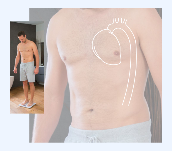 Khả năng đo tốc độ lưu thông máu là tính năng đắt giá của cân Withings Body Cardio.