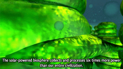 Quá trình quang hợp của cây