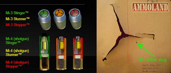 Một viên đạn khi bắn ra sẽ chụp lấy mục tiêu thế này