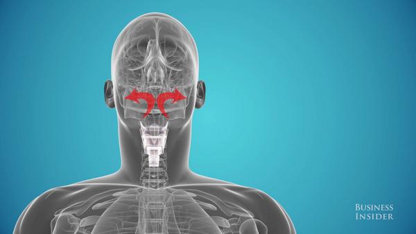 Micro không thể thu được âm thanh truyền qua xương và các mô trong sọ