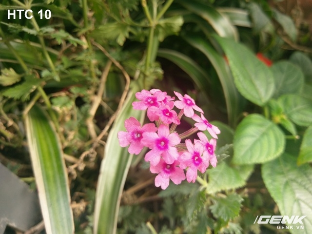 Ảnh cận cảnh HTC 10
