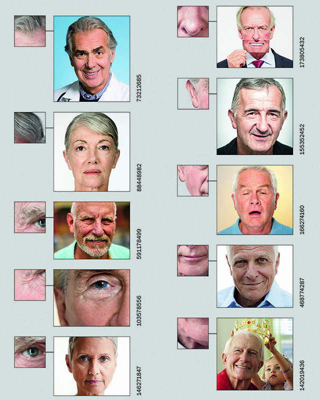 Các chi tiết từ các bức ảnh chân dung nguyên mẫu để tái tạo lên khuôn mặt Thái tử Charles