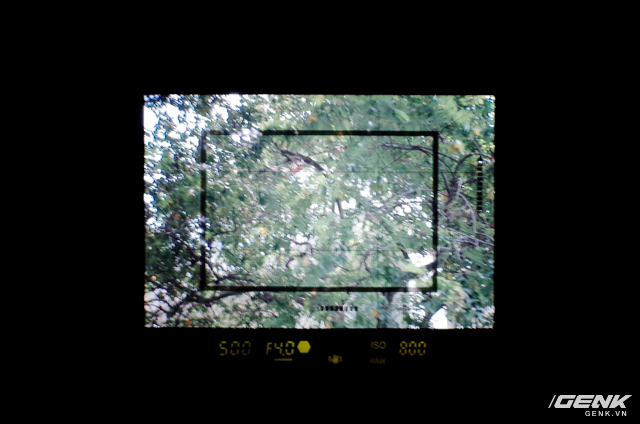 Khung chữ nhật viền đen chính là khung crop.