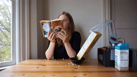 Này chị gái, chỉ cần nhặt ngũ cốc dưới đất và gạt sữa trên bàn vào bát là chị đã có một bữa sáng ngon lành rồi đấy!