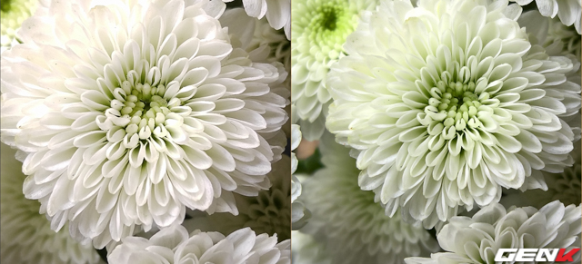 LG V10 (trái) vs. Lumia 950 (phải).