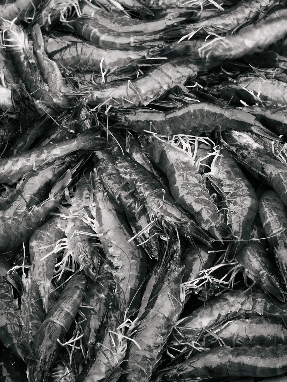 Cùng Galaxy S26 Ultra ngắm Thủ Đô mùa 'đỏng đảnh': Ghé chợ sớm Long Biên, thăm dàn hoa giấy khu tập thể để thấy hóa ra Hà Nội vẫn 'tình' đến vậy - Ảnh 24.