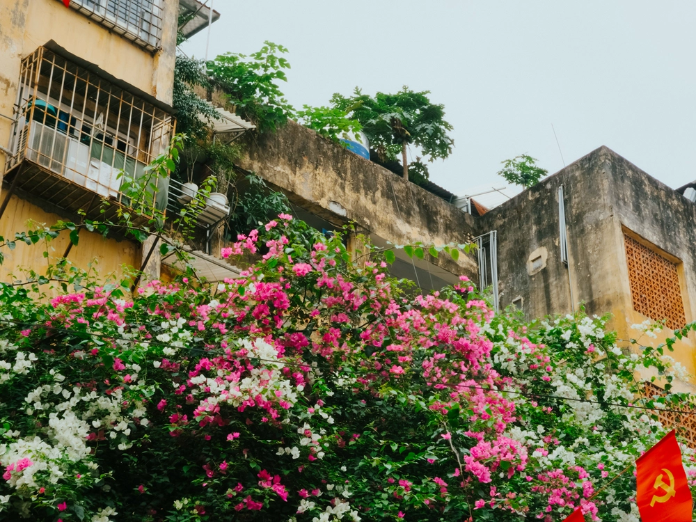 Cùng Galaxy S26 Ultra ngắm Thủ Đô mùa 'đỏng đảnh': Ghé chợ sớm Long Biên, thăm dàn hoa giấy khu tập thể để thấy hóa ra Hà Nội vẫn 'tình' đến vậy - Ảnh 53.