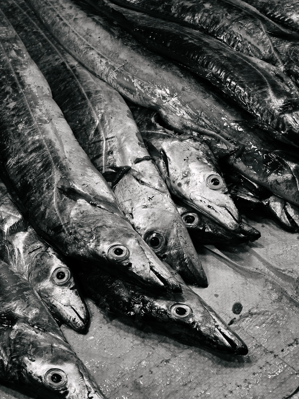 Cùng Galaxy S26 Ultra ngắm Thủ Đô mùa 'đỏng đảnh': Ghé chợ sớm Long Biên, thăm dàn hoa giấy khu tập thể để thấy hóa ra Hà Nội vẫn 'tình' đến vậy - Ảnh 20.