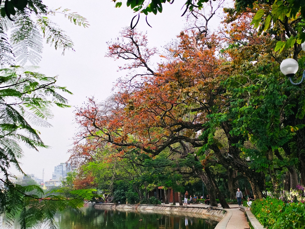 Cùng Galaxy S26 Ultra ngắm Thủ Đô mùa 'đỏng đảnh': Ghé chợ sớm Long Biên, thăm dàn hoa giấy khu tập thể để thấy hóa ra Hà Nội vẫn 'tình' đến vậy - Ảnh 36.