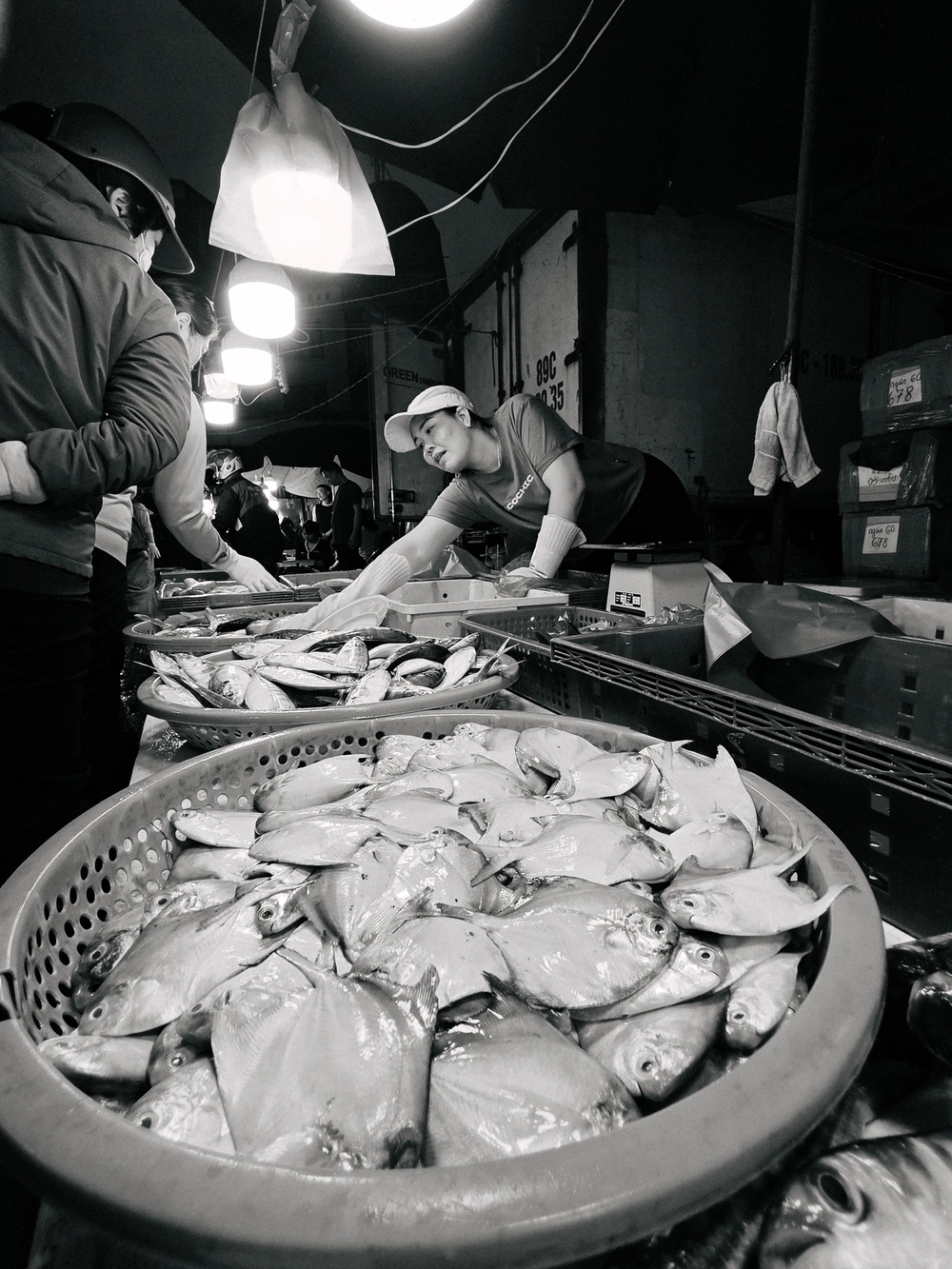 Cùng Galaxy S26 Ultra ngắm Thủ Đô mùa 'đỏng đảnh': Ghé chợ sớm Long Biên, thăm dàn hoa giấy khu tập thể để thấy hóa ra Hà Nội vẫn 'tình' đến vậy - Ảnh 16.