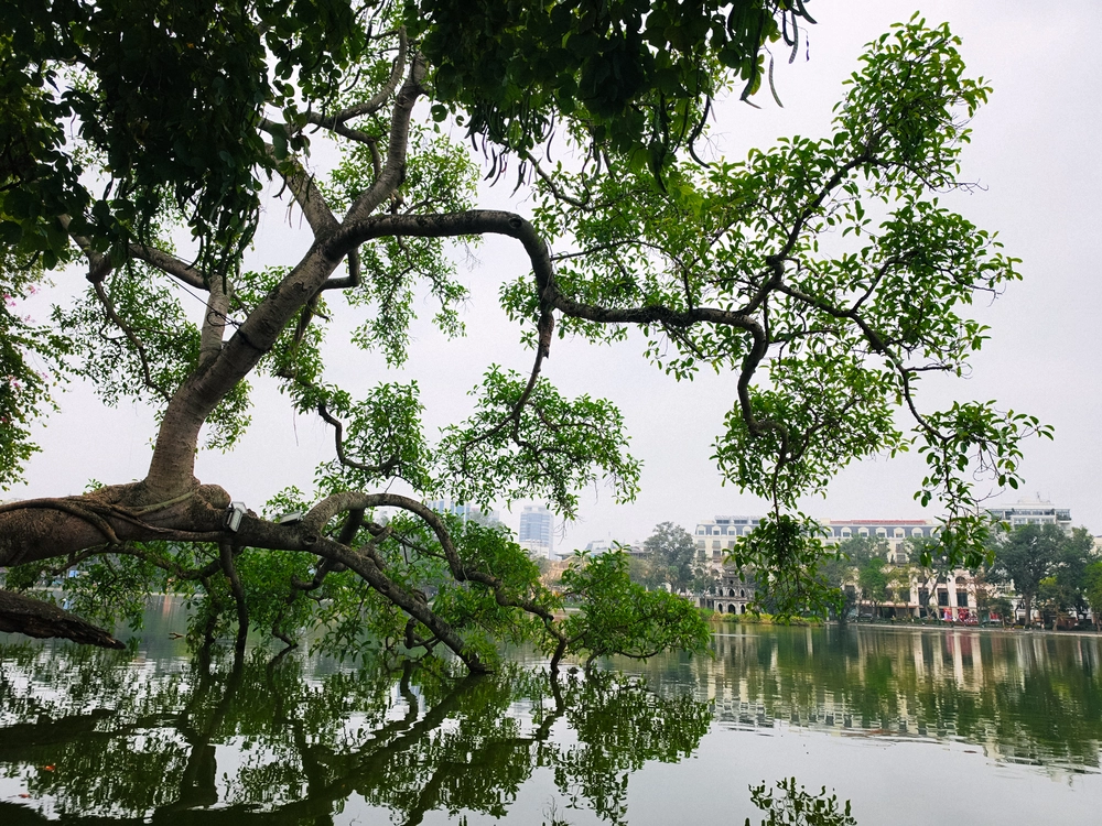 Cùng Galaxy S26 Ultra ngắm Thủ Đô mùa 'đỏng đảnh': Ghé chợ sớm Long Biên, thăm dàn hoa giấy khu tập thể để thấy hóa ra Hà Nội vẫn 'tình' đến vậy - Ảnh 37.