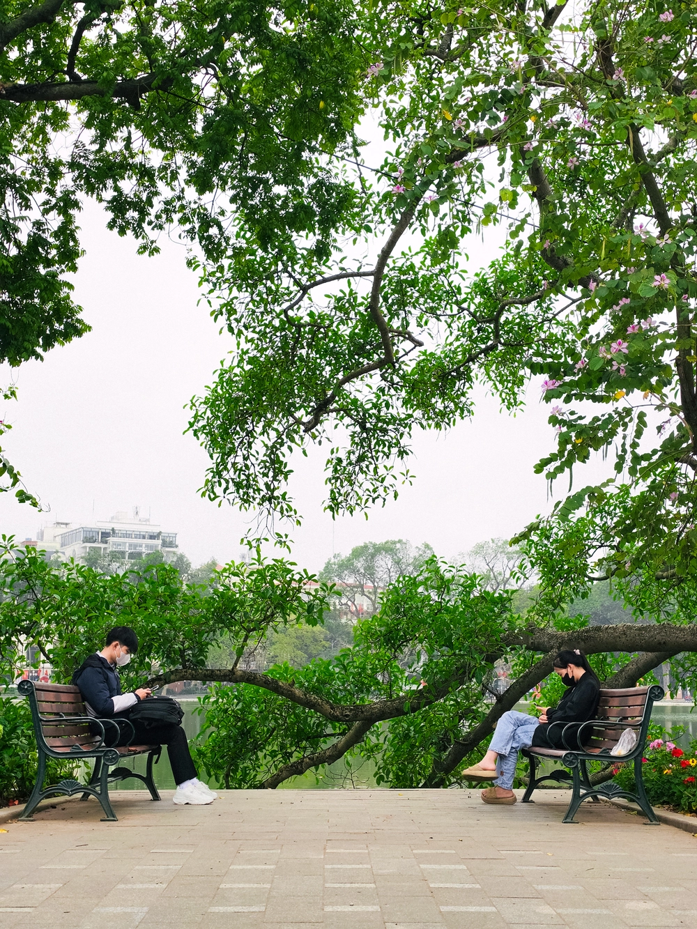 Cùng Galaxy S26 Ultra ngắm Thủ Đô mùa 'đỏng đảnh': Ghé chợ sớm Long Biên, thăm dàn hoa giấy khu tập thể để thấy hóa ra Hà Nội vẫn 'tình' đến vậy - Ảnh 44.