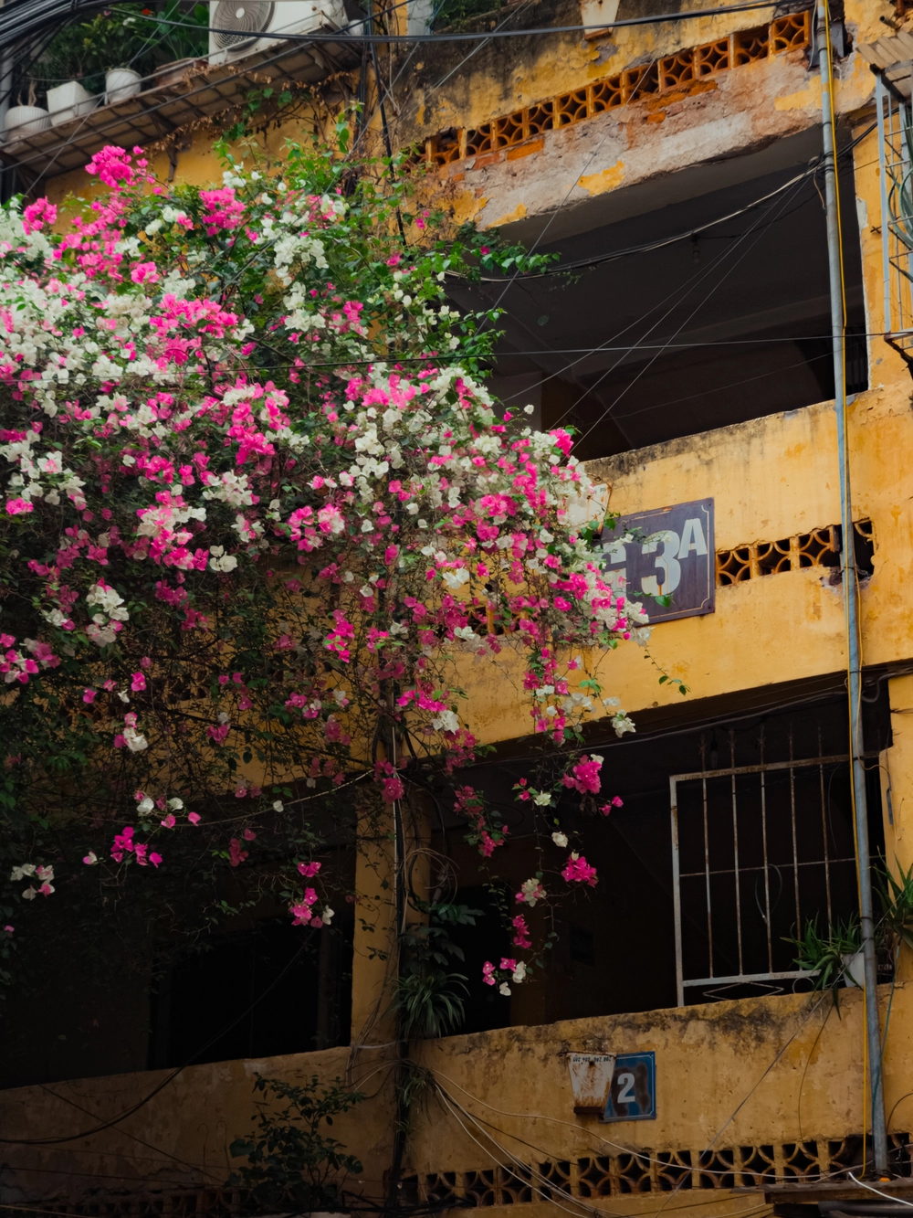 Cùng Galaxy S26 Ultra ngắm Thủ Đô mùa 'đỏng đảnh': Ghé chợ sớm Long Biên, thăm dàn hoa giấy khu tập thể để thấy hóa ra Hà Nội vẫn 'tình' đến vậy - Ảnh 57.