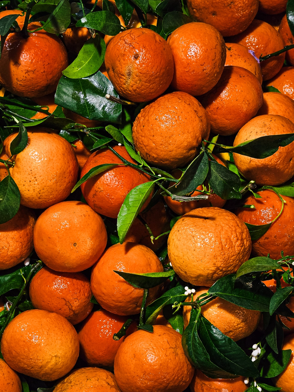 Cùng Galaxy S26 Ultra ngắm Thủ Đô mùa 'đỏng đảnh': Ghé chợ sớm Long Biên, thăm dàn hoa giấy khu tập thể để thấy hóa ra Hà Nội vẫn 'tình' đến vậy - Ảnh 30.