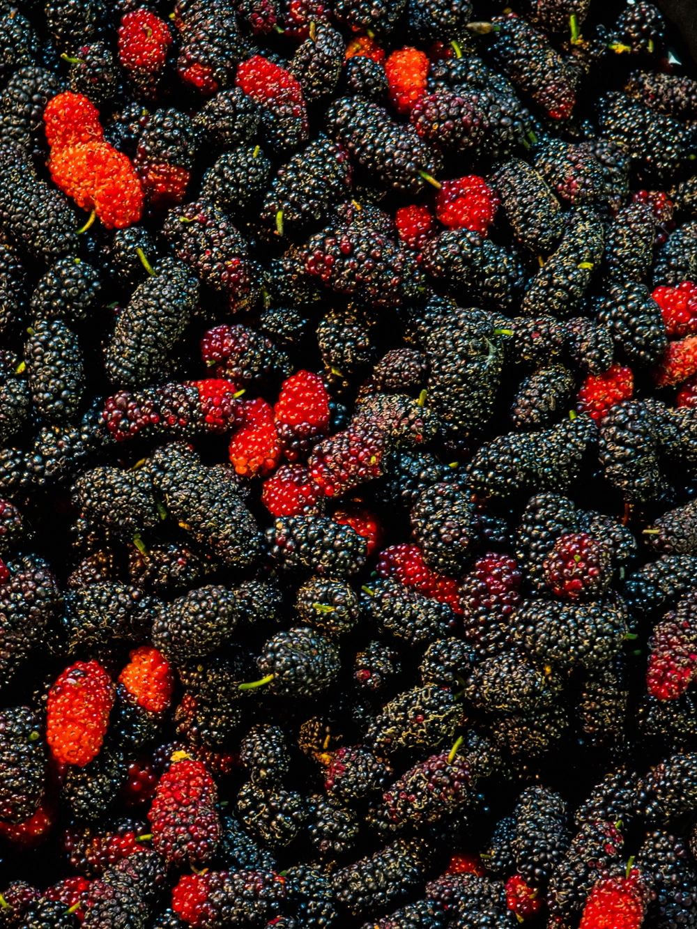 Cùng Galaxy S26 Ultra ngắm Thủ Đô mùa 'đỏng đảnh': Ghé chợ sớm Long Biên, thăm dàn hoa giấy khu tập thể để thấy hóa ra Hà Nội vẫn 'tình' đến vậy - Ảnh 34.