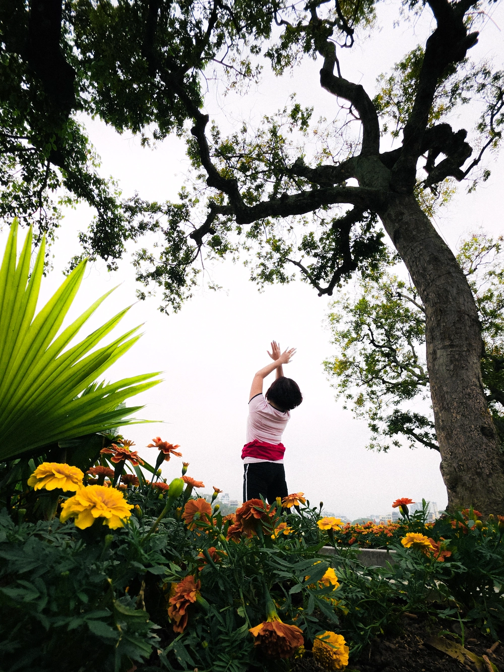 Cùng Galaxy S26 Ultra ngắm Thủ Đô mùa 'đỏng đảnh': Ghé chợ sớm Long Biên, thăm dàn hoa giấy khu tập thể để thấy hóa ra Hà Nội vẫn 'tình' đến vậy - Ảnh 41.