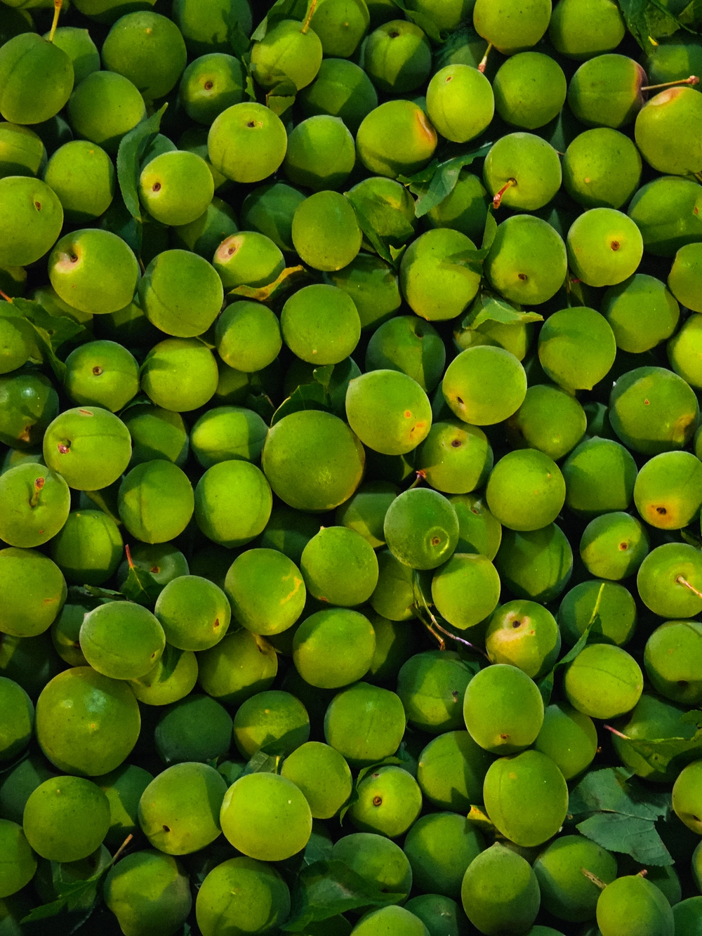 Cùng Galaxy S26 Ultra ngắm Thủ Đô mùa 'đỏng đảnh': Ghé chợ sớm Long Biên, thăm dàn hoa giấy khu tập thể để thấy hóa ra Hà Nội vẫn 'tình' đến vậy - Ảnh 32.