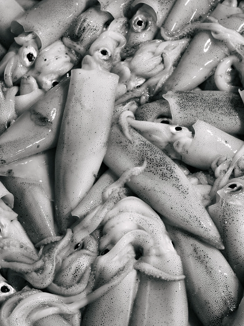 Cùng Galaxy S26 Ultra ngắm Thủ Đô mùa 'đỏng đảnh': Ghé chợ sớm Long Biên, thăm dàn hoa giấy khu tập thể để thấy hóa ra Hà Nội vẫn 'tình' đến vậy - Ảnh 23.