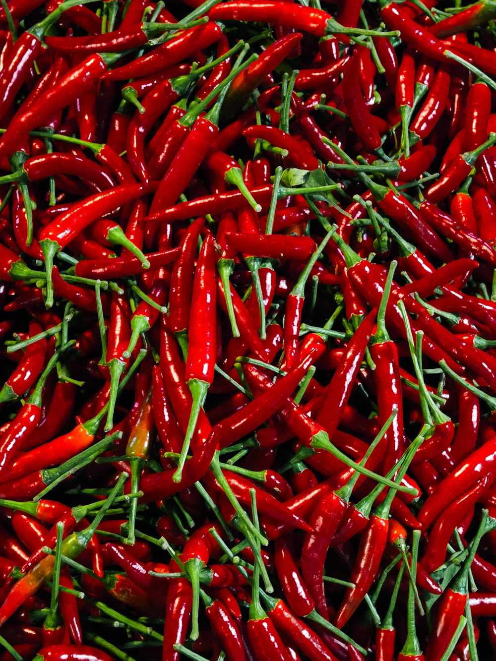 Cùng Galaxy S26 Ultra ngắm Thủ Đô mùa 'đỏng đảnh': Ghé chợ sớm Long Biên, thăm dàn hoa giấy khu tập thể để thấy hóa ra Hà Nội vẫn 'tình' đến vậy - Ảnh 29.