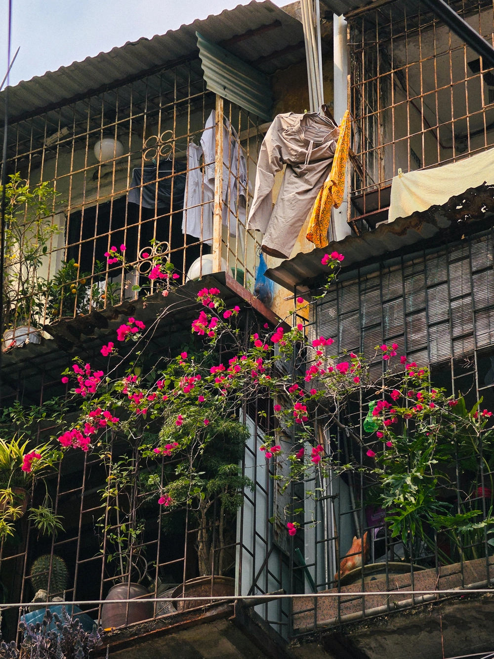 Cùng Galaxy S26 Ultra ngắm Thủ Đô mùa 'đỏng đảnh': Ghé chợ sớm Long Biên, thăm dàn hoa giấy khu tập thể để thấy hóa ra Hà Nội vẫn 'tình' đến vậy - Ảnh 67.