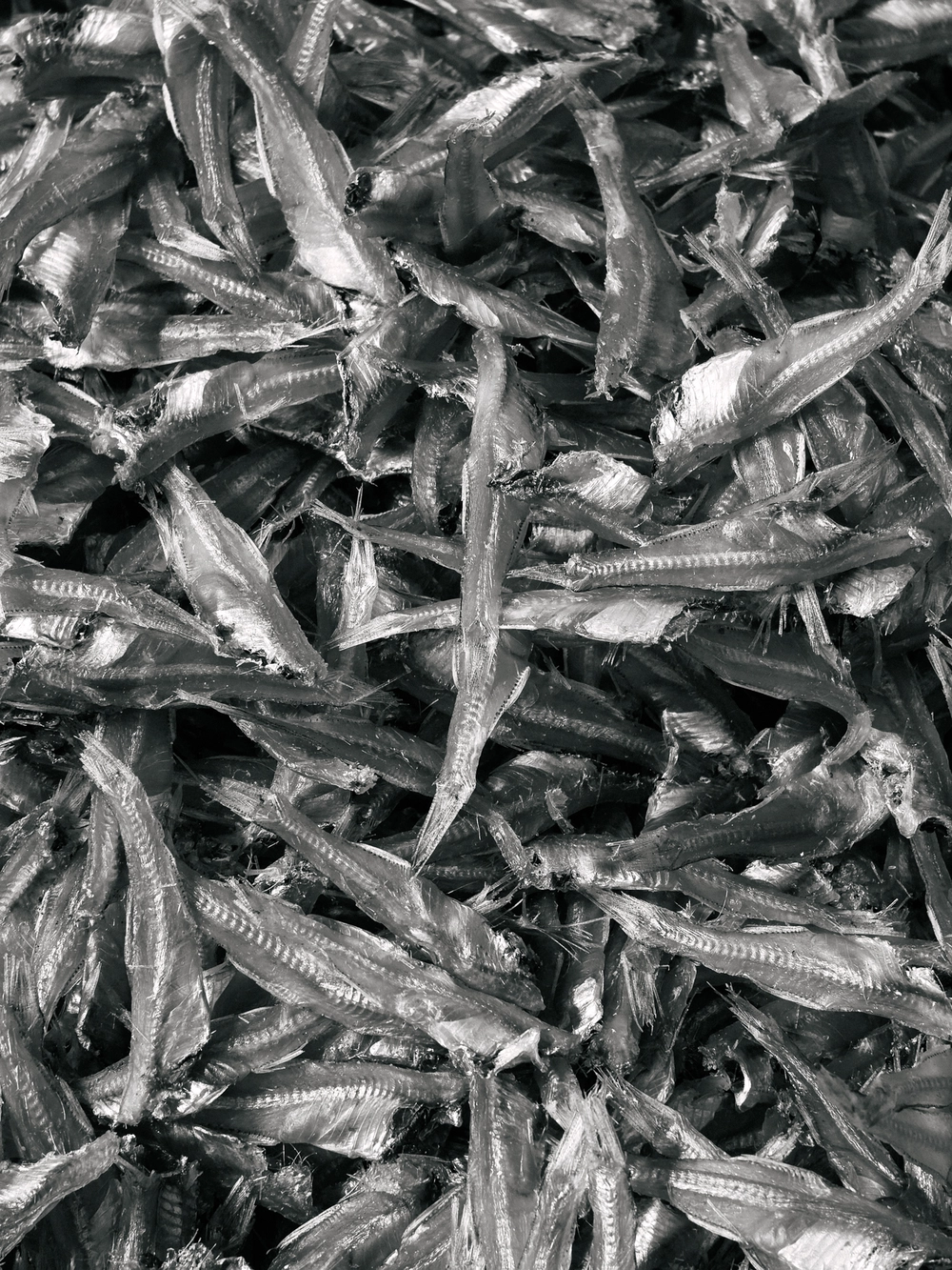 Cùng Galaxy S26 Ultra ngắm Thủ Đô mùa 'đỏng đảnh': Ghé chợ sớm Long Biên, thăm dàn hoa giấy khu tập thể để thấy hóa ra Hà Nội vẫn 'tình' đến vậy - Ảnh 21.