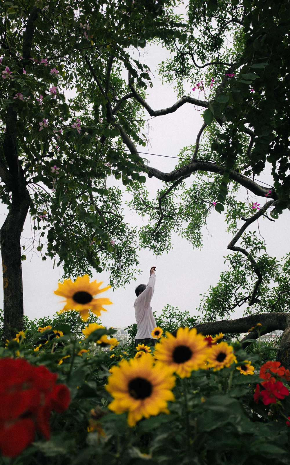 Cùng Galaxy S26 Ultra ngắm Thủ Đô mùa 'đỏng đảnh': Ghé chợ sớm Long Biên, thăm dàn hoa giấy khu tập thể để thấy hóa ra Hà Nội vẫn 'tình' đến vậy - Ảnh 39.