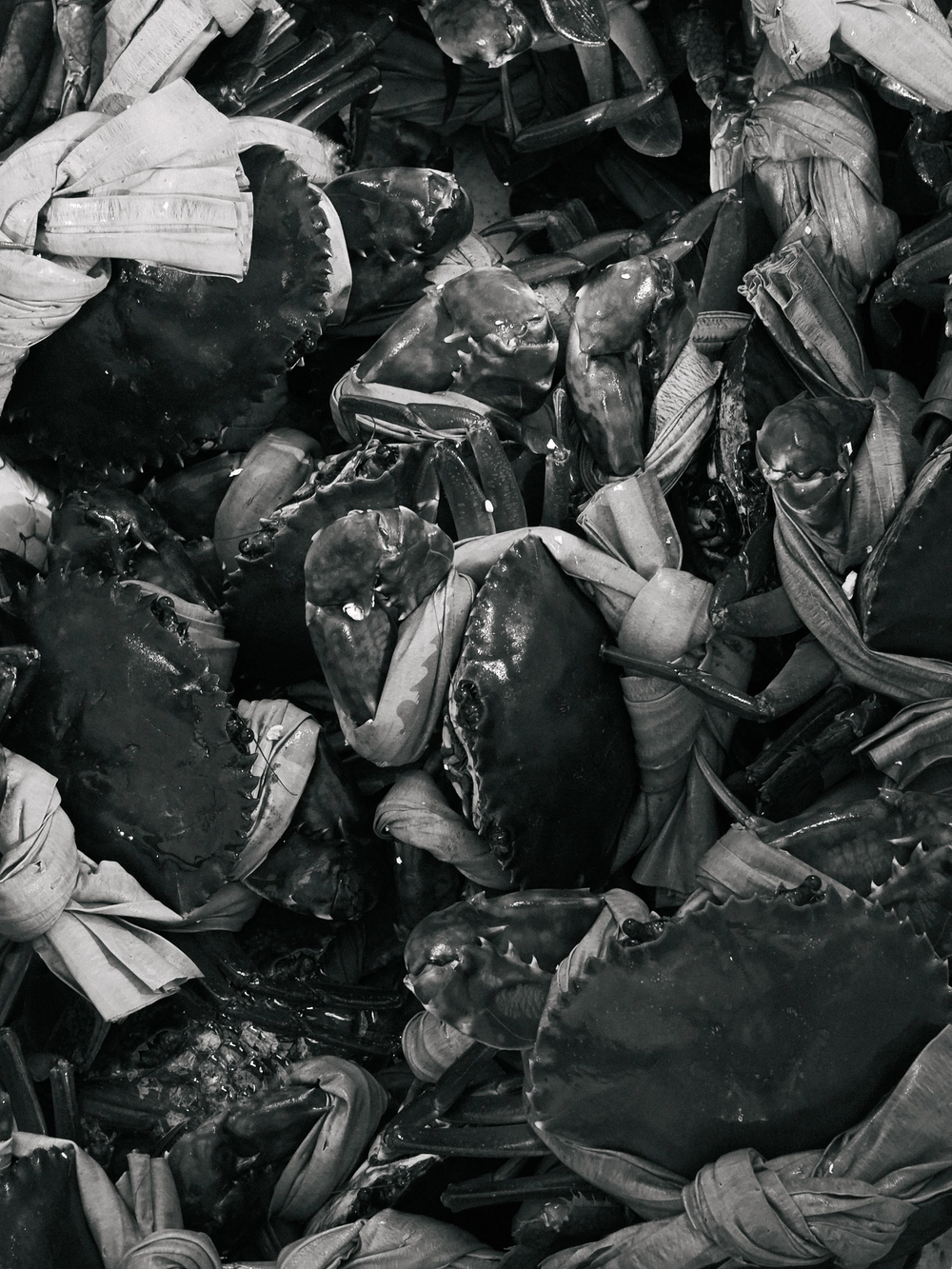 Cùng Galaxy S26 Ultra ngắm Thủ Đô mùa 'đỏng đảnh': Ghé chợ sớm Long Biên, thăm dàn hoa giấy khu tập thể để thấy hóa ra Hà Nội vẫn 'tình' đến vậy - Ảnh 25.