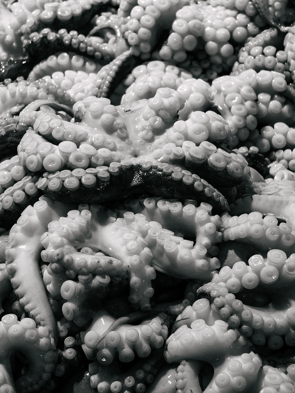 Cùng Galaxy S26 Ultra ngắm Thủ Đô mùa 'đỏng đảnh': Ghé chợ sớm Long Biên, thăm dàn hoa giấy khu tập thể để thấy hóa ra Hà Nội vẫn 'tình' đến vậy - Ảnh 26.